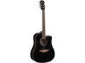 guitare-electroacoustique-eko-small-1