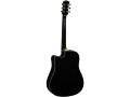 guitare-electroacoustique-eko-small-2