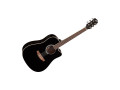 guitare-electroacoustique-eko-small-0