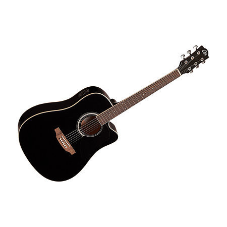 guitare-electroacoustique-eko-big-0
